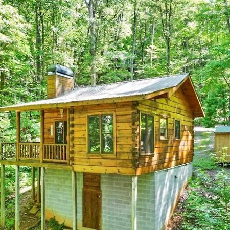 Open Studio Lodge At Little Rock Creek Cherry Log Kültér fotó