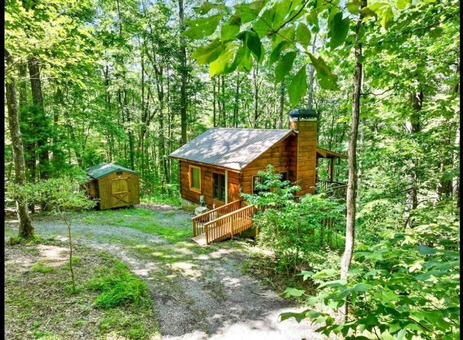 Open Studio Lodge At Little Rock Creek Cherry Log Kültér fotó